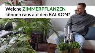 scheinbeere knstlich Scheinbeere kaufen | Gaultheria