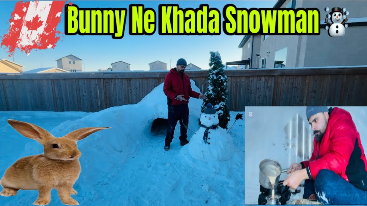 Rato Raat Ehne Krta Snowman Da Kmm Tamam🇨🇦 ਰਾਤੋ ਰਾਤ ਇਹਨੇ ਕਰਤਾ ਸਨੋਮੈਨ ਦਾ ਕੰਮ ਤਮਾਮ