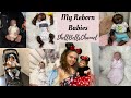 Where i got my reborn baby dolls from  shellbellschannel