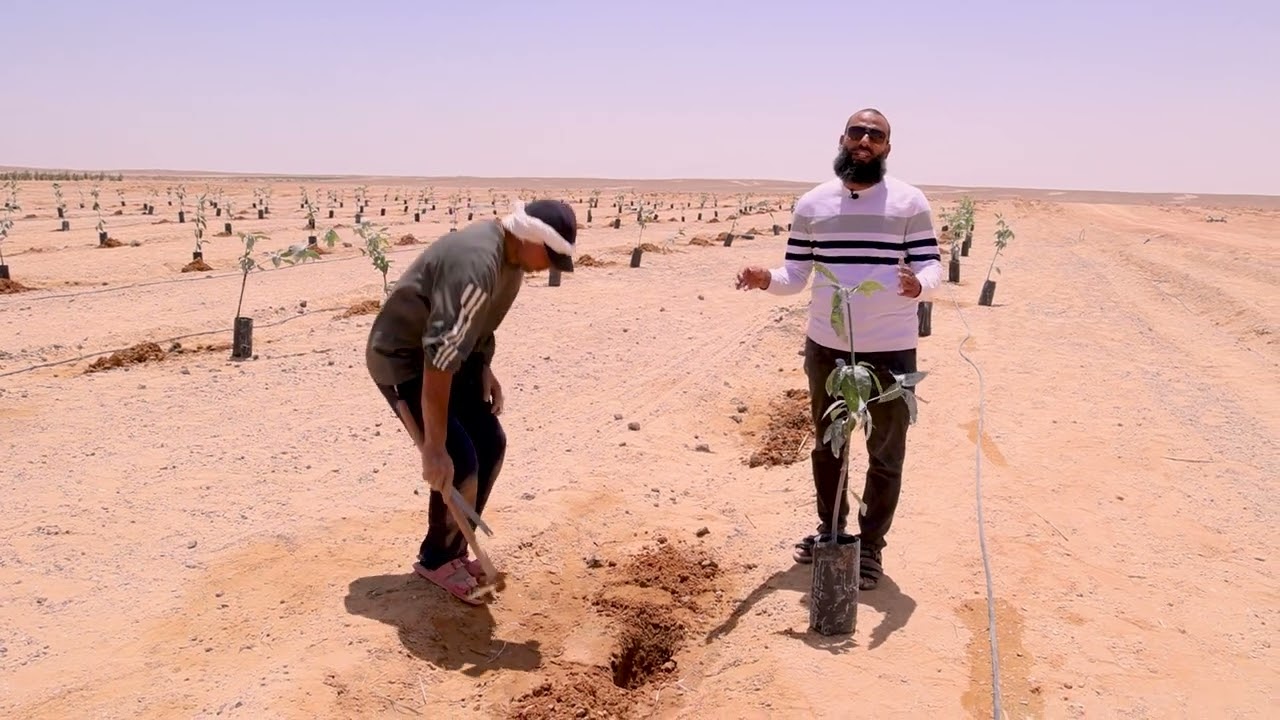 الركن الأساسي والأهم في نجاح مشروعك اللي هيحققلك مكاسب رهيبة لو عملته صح