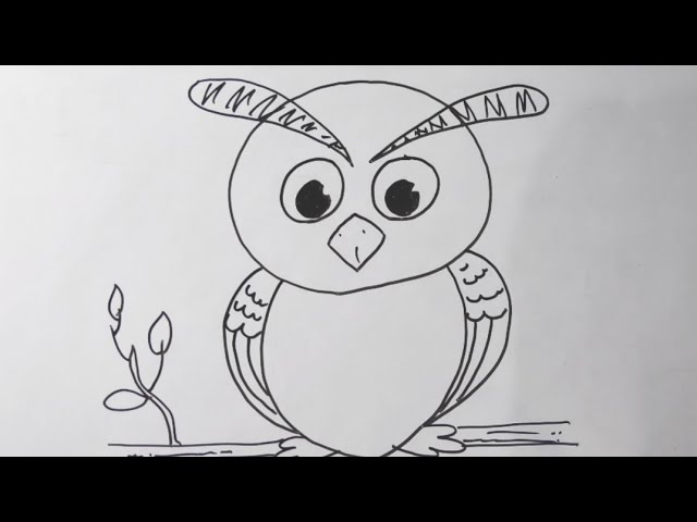 How to Draw an Owl's Face & Head Step by Step - EasyDrawingTips