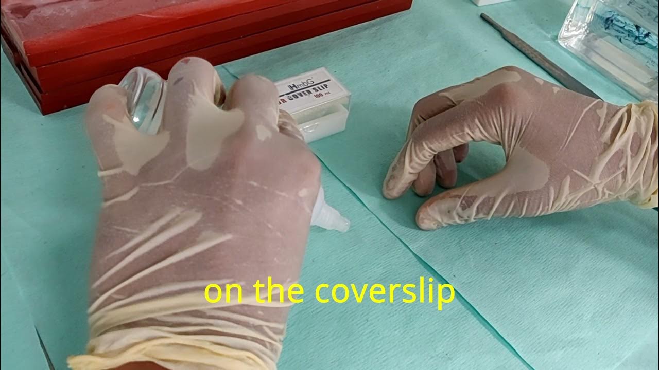 DPX mount for cytology YouTube