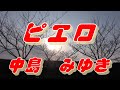 ピエロ/中島 みゆき(歌詞付き)  covered by t.yukimi