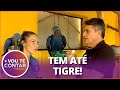 Zoológico em casa: Conheça a casa de Gilberto Miranda e seus animais exóticos