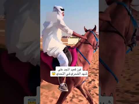 قعيد شهدالشمري فوز قعيد على شهد في التحدي