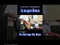 【邦ロック】Angelus/The Marriage Sky Blues #ベース #bass