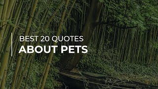 Best 20 Quotes about Pets | Quotes for Pictures | Motivational Quotes