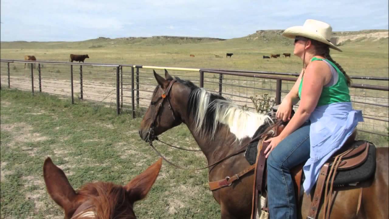 Colorado Cattle Company & Guest Ranch YouTube
