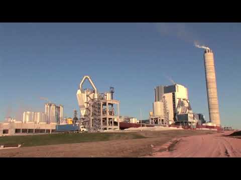 Planta de celulosa: