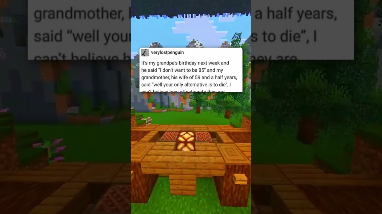 Самые прекрасные отношения на свете 😂