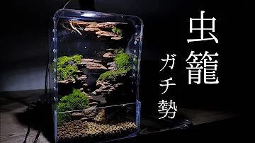 カブトムシテラリウム作り方