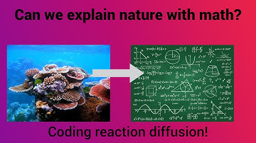 Can Nature Be Explained By Math: Reaction Diffusion