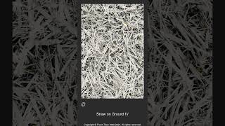 011690 - Straw on Ground IV