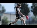 Vfl round 9 2014  taylor hine highlights