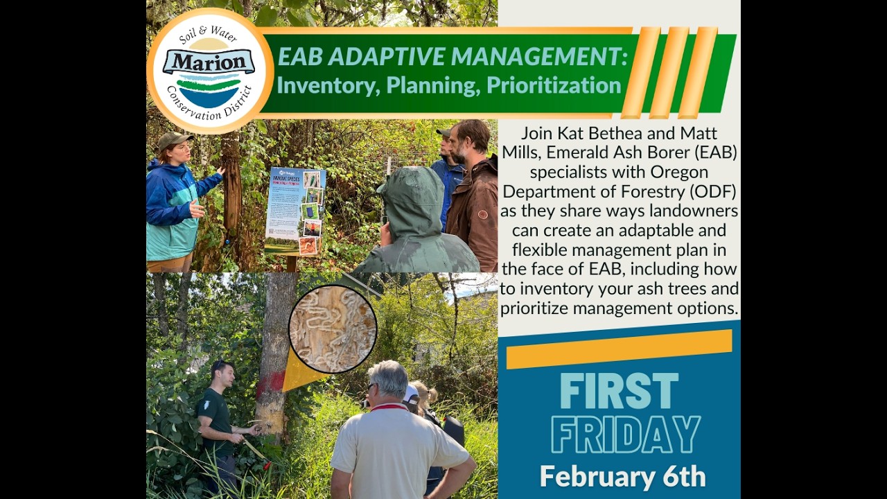 First Friday -  EAB Adaptive Management