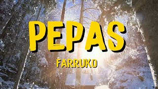 Farruko - Pepas (Letra) | mix by Jacinthe Letra Lyrics