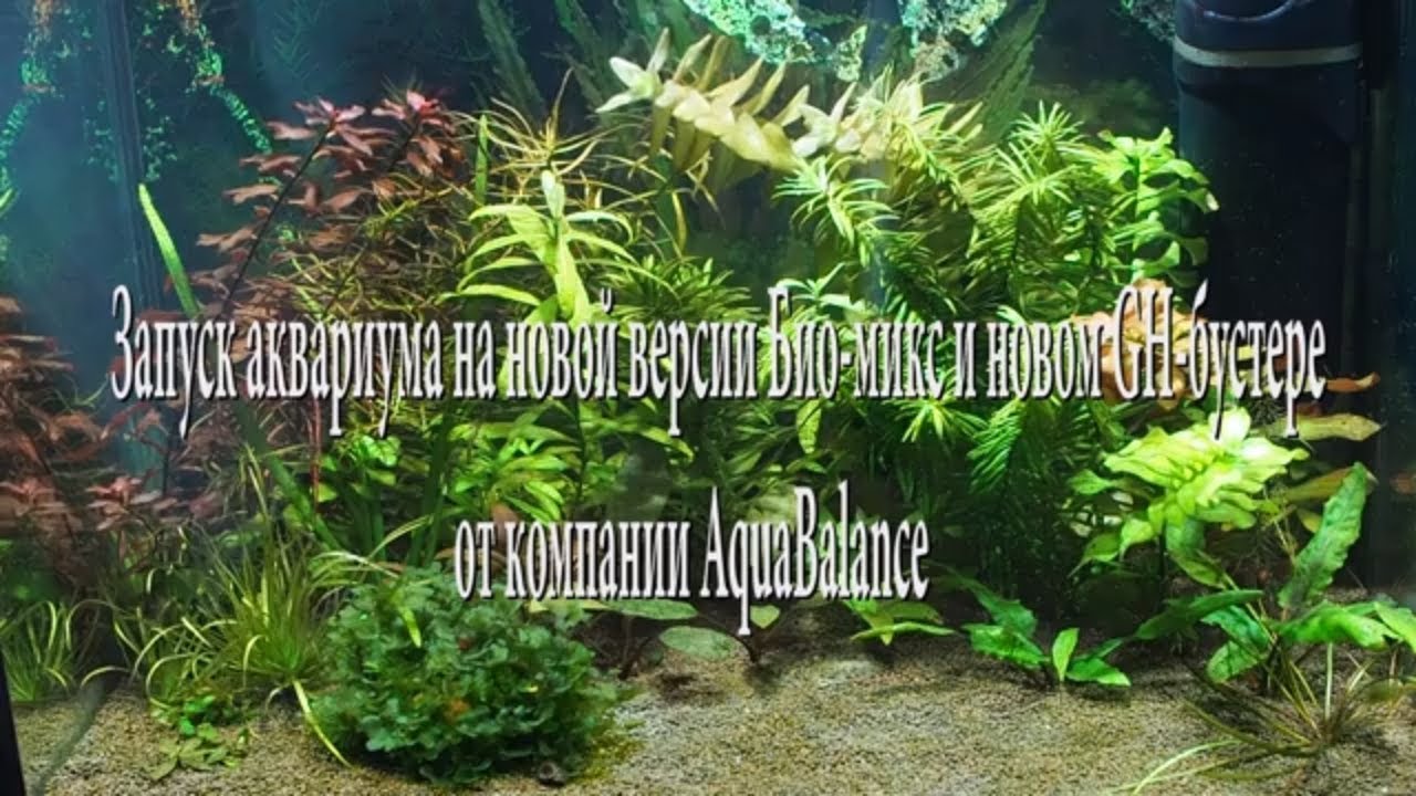 Запуск аквариума на новой версии Био микс и новом GH бустере от компании AquaBalance