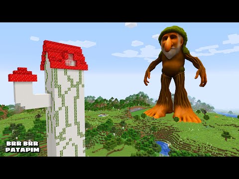 SURVIVING FROM BRR BRR PATAPIM ARRIVAL in Minecraft - Gameplay - Coffin Meme
