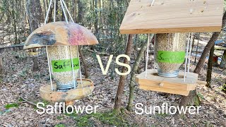 Safflower vs Sunflower- what do birds prefer?