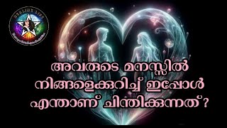 🧿💞 Person ന്റെ ഇപ്പോഴത്തെ feelings. അവർ നിങ്ങളുടെ വില തിരിച്ചറിയും🔮 #currentfeelings #lovereading