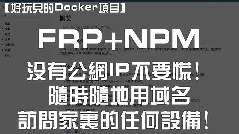 【好玩儿的Docker项目】内网穿透，从未如此简单！家里没有公网IP？FRP+NPM+VPS = 随时随地用域名访问家里的任何设备！