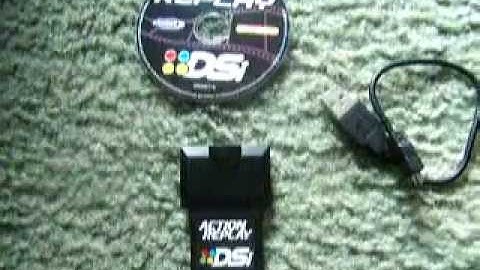 Action Replay Dsi review