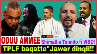 Tplf Baqattejawar Dinqisiifateshimallis Tsimdo Fi Wbo Irrattitrump Fi Kim