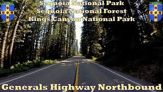 Generals Highway Northbound - Sequoia National Park, Sequoia NF, Kings Canyon National Park