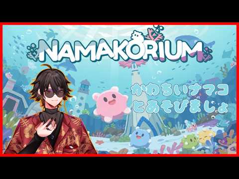 【NAMAKORIUM】　愛する海を守りたい　【今南アリカ】
