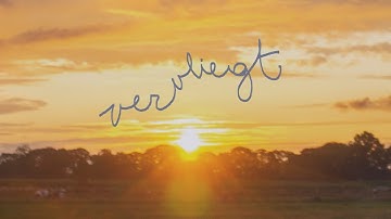 Catbug - vervliegt (official music video)