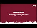 Walpurgis  teufelstanz und hexenritt  was bedeutet walpurgis im harz