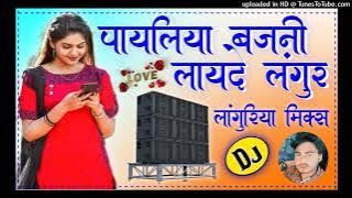Payliya Bajni Layde Langur | Ramdhan Gurjar Dehati Languriya 2023 | Dholki Mix By Dj Languriya Song