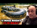 Joe Rogan - 60 Foot Anaconda! It Is REAL!