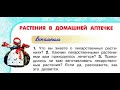 Окружающий мир 2 класс ч.2, Перспектива, с.28-31, тема урока "Растения в домашней аптечке"