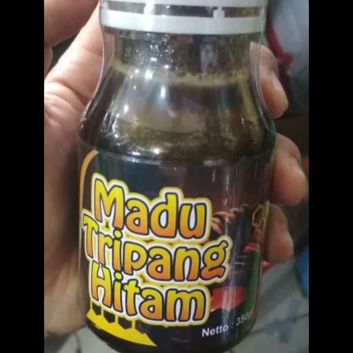 081372179201 Madu Teripang Hitam