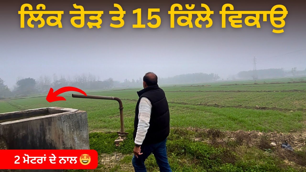 ਰੋੜ ਦੇ ਦੋਵੇ ਪਾਸੇ, 15 ਕਿੱਲੇ ਵਿਕਾਉ 🤩 land for sale in hoshiarpur Punjabvideo: 256