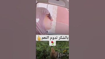 #subscribe #quran #سورة #النمل