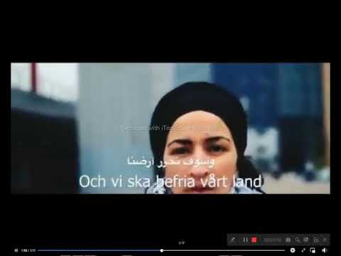 الأغنية السويدية التى اكتسحت العالم فيفا بلاستينا