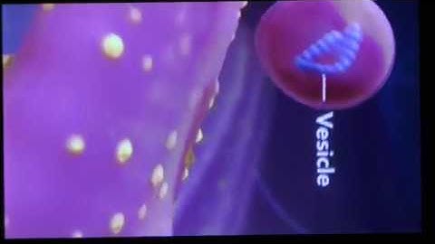 NGSS: Shifting from FACTS to EXPLANATIONS