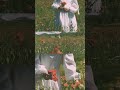 كأنها تأكل الورد من شدة جمالها Shorts اكسبلور كأنها تأكل الورد من شدة جمالها Shorts اكسبلور