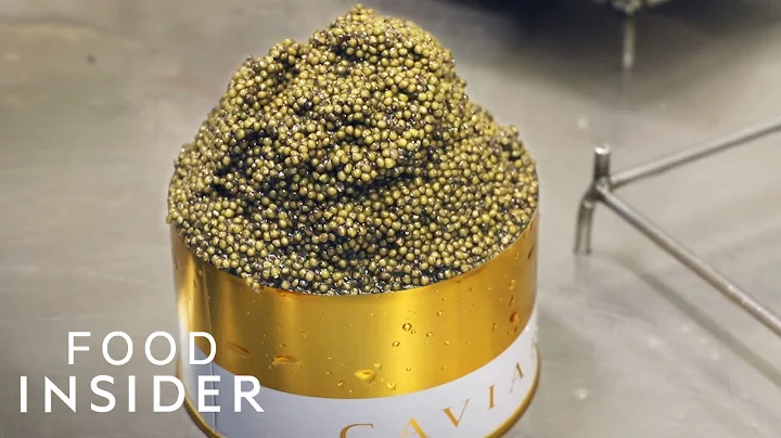 Inside Europe's Biggest Caviar Farm | Regional Eats | Insider Food