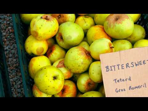 Video: Community Cider-Programme Machen Cider Und Benefit Charity