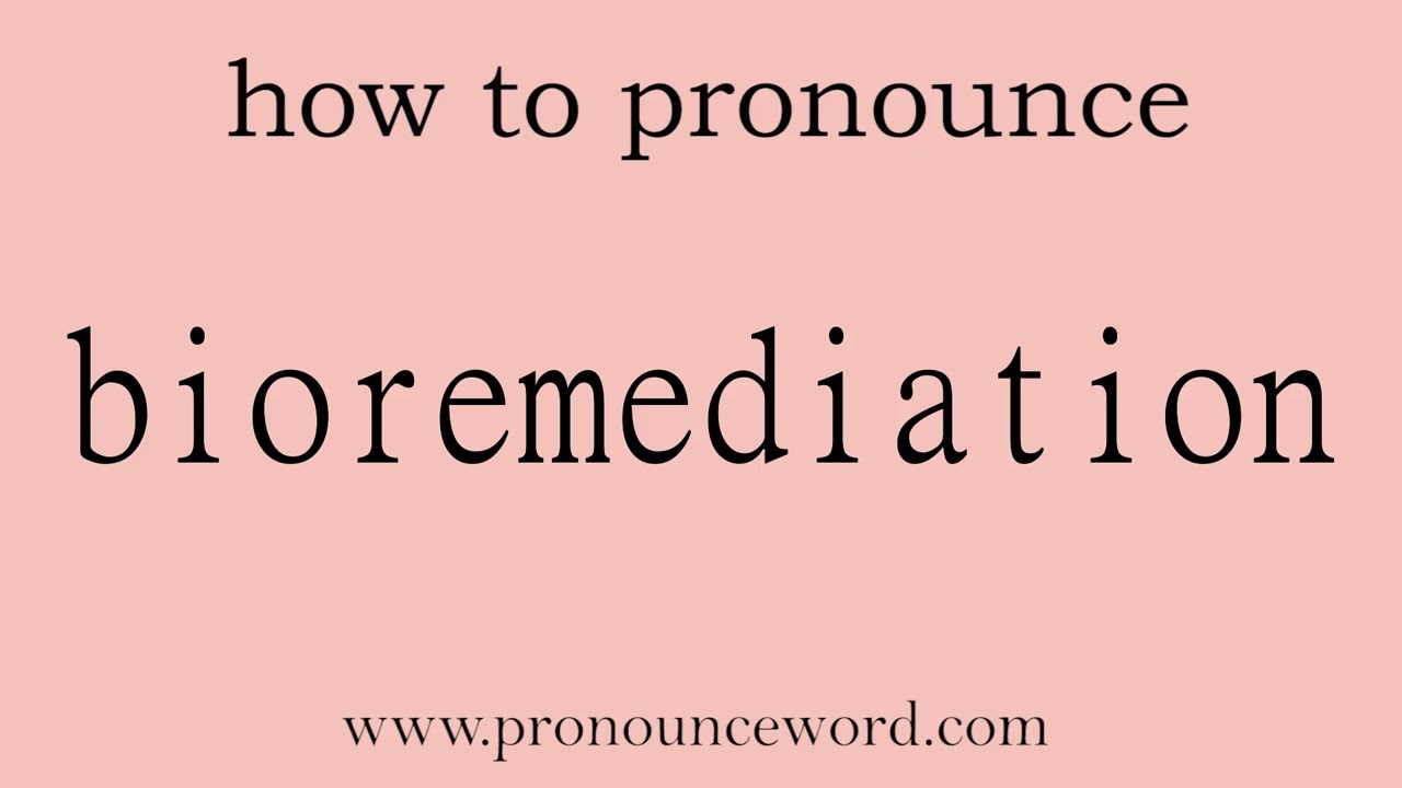 bioremediation: How to pronounce bioremediation in english (correct!).Start with B. Learn from me.