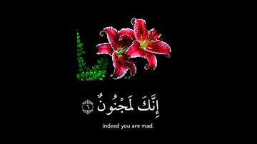 حالات واتس اب دينيه عراقية 🎧 القارئ الشيخ نعمة الحسان ماتيسرة من سورة الحجر اية 6_8