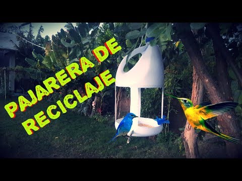 Video: Cómo Hacer Una Pajarera