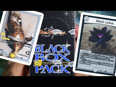 WHAT are these cards?! DMEX 08 Black box Duel Masters display