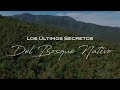 "Los Últimos Secretos del Bosque Nativo"