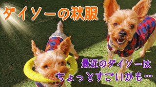 最近のダイソーのわんこグッズ