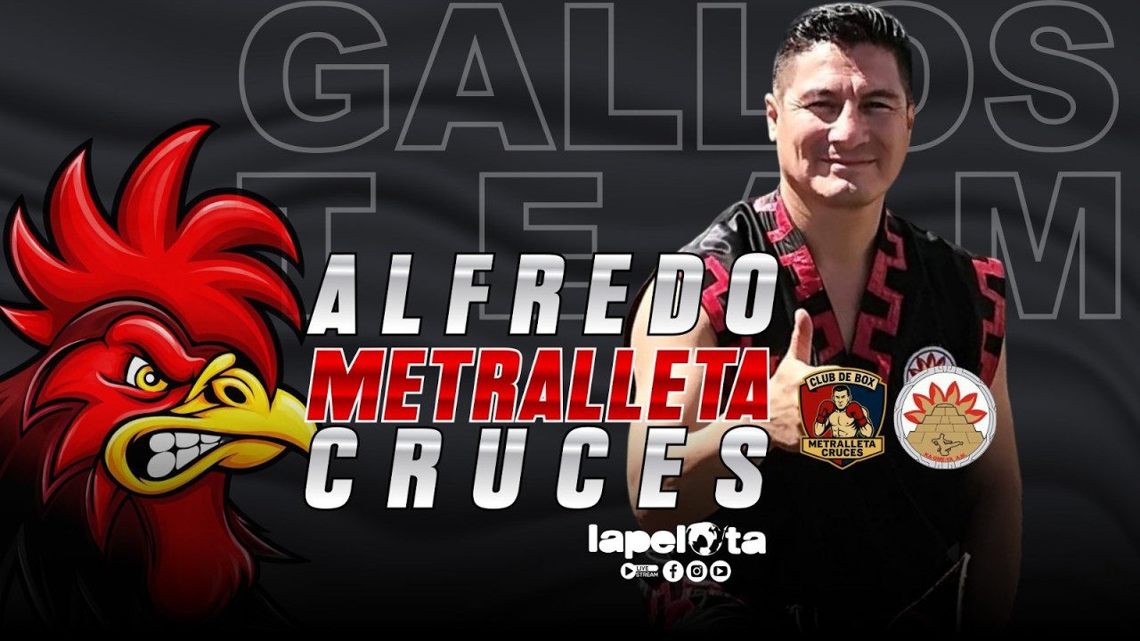 Alfredo “Metralleta” Cruces: Experiencia y Combate | Gallos Team | LaPelota