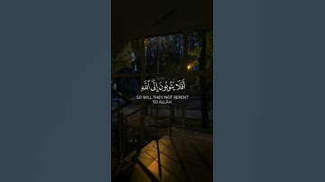 تلاوه من سورة المائدة|بصوت الشيخ محمد اللحيدان🎧♥️ #trending #quran #قران_كريم #راحة_نفسية #قرآن